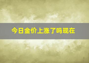 今日金价上涨了吗现在