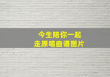 今生陪你一起走原唱曲谱图片