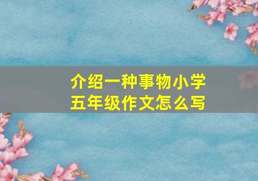 介绍一种事物小学五年级作文怎么写