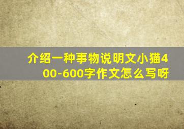 介绍一种事物说明文小猫400-600字作文怎么写呀