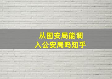 从国安局能调入公安局吗知乎