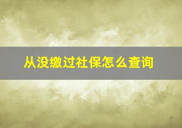 从没缴过社保怎么查询