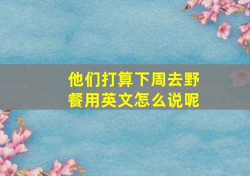 他们打算下周去野餐用英文怎么说呢