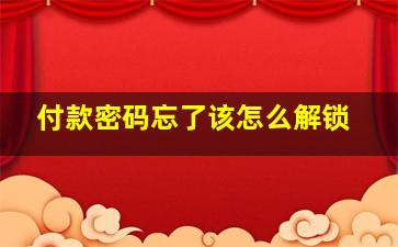 付款密码忘了该怎么解锁