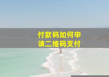 付款码如何申请二维码支付