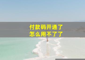 付款码开通了怎么用不了了