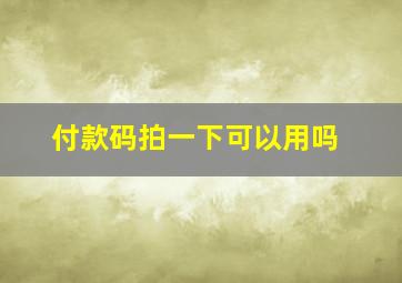 付款码拍一下可以用吗