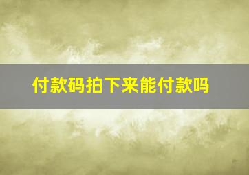 付款码拍下来能付款吗