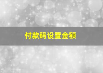 付款码设置金额