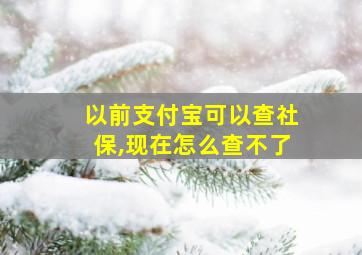 以前支付宝可以查社保,现在怎么查不了