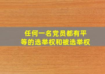 任何一名党员都有平等的选举权和被选举权