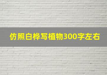 仿照白桦写植物300字左右