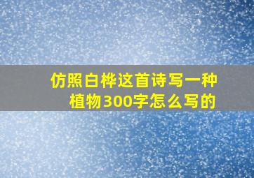 仿照白桦这首诗写一种植物300字怎么写的