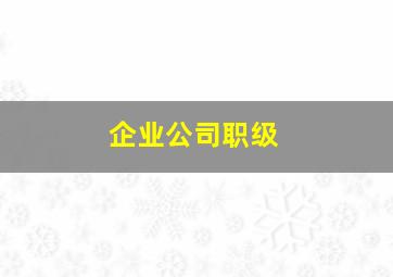 企业公司职级