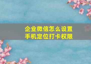 企业微信怎么设置手机定位打卡权限