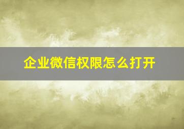 企业微信权限怎么打开