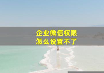 企业微信权限怎么设置不了