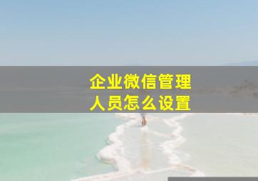 企业微信管理人员怎么设置