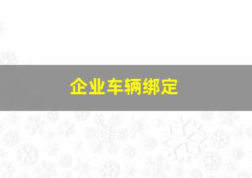 企业车辆绑定