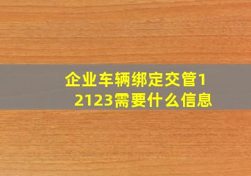 企业车辆绑定交管12123需要什么信息