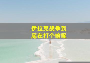 伊拉克战争到底在打个啥呢