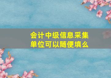 会计中级信息采集单位可以随便填么