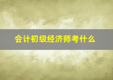 会计初级经济师考什么