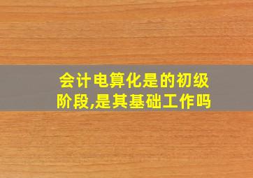 会计电算化是的初级阶段,是其基础工作吗