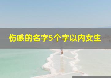 伤感的名字5个字以内女生