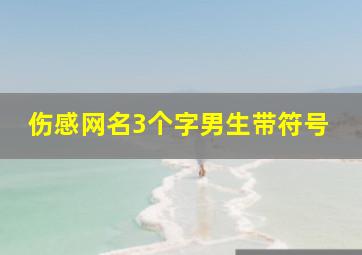 伤感网名3个字男生带符号