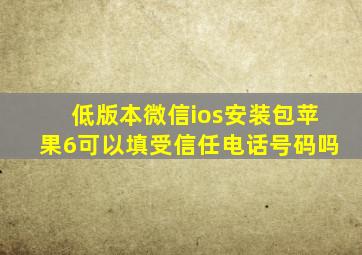 低版本微信ios安装包苹果6可以填受信任电话号码吗