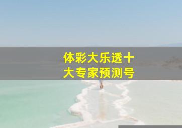 体彩大乐透十大专家预测号