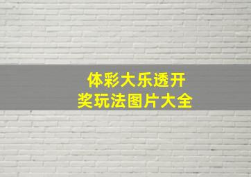 体彩大乐透开奖玩法图片大全