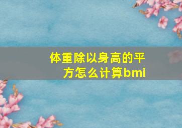 体重除以身高的平方怎么计算bmi