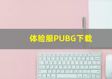 体验服PUBG下载