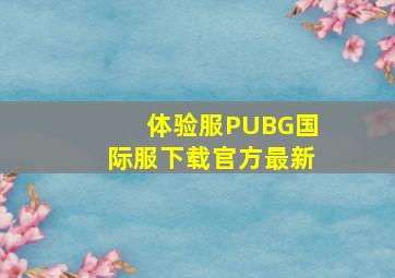 体验服PUBG国际服下载官方最新