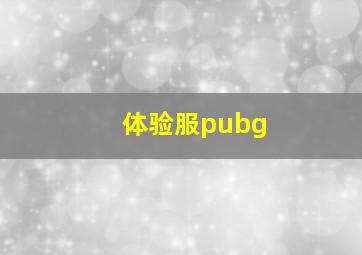 体验服pubg