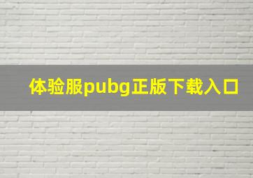 体验服pubg正版下载入口