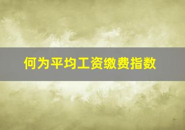 何为平均工资缴费指数