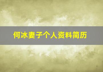 何冰妻子个人资料简历