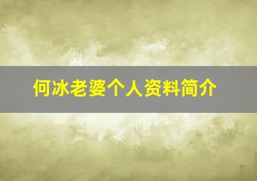 何冰老婆个人资料简介