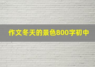 作文冬天的景色800字初中