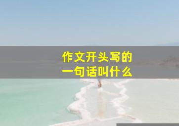 作文开头写的一句话叫什么