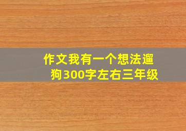 作文我有一个想法遛狗300字左右三年级