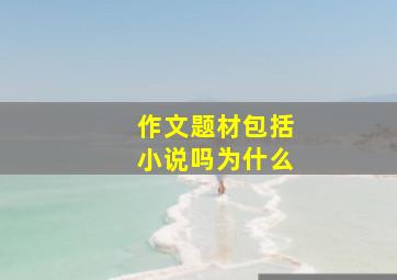 作文题材包括小说吗为什么