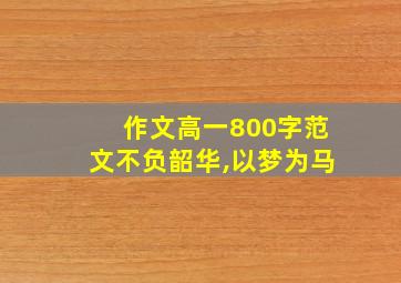 作文高一800字范文不负韶华,以梦为马