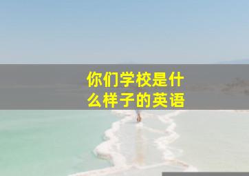 你们学校是什么样子的英语