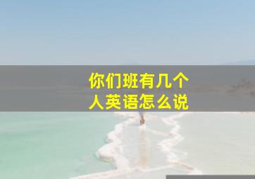 你们班有几个人英语怎么说