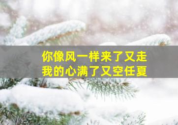 你像风一样来了又走我的心满了又空任夏