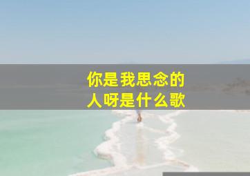 你是我思念的人呀是什么歌